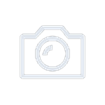 The Snapshot button in the Hik-Connect app.