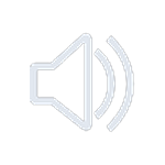 The Sound on / off button in the Hik-Connect app.