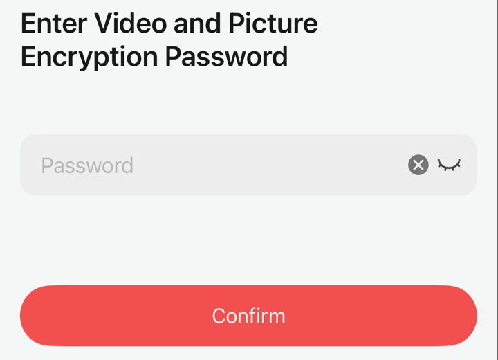 The Enter Video and Picture Encryption Password screen with a Confirm button.