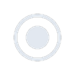 The Record button on the playback screen.